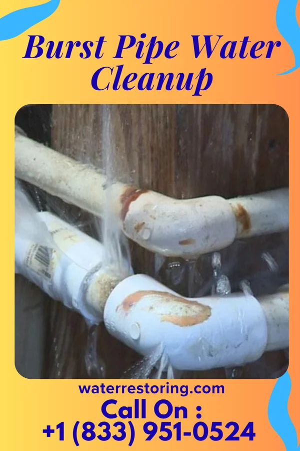 Burst Pipe Water Cleanup in Pittsville, MD