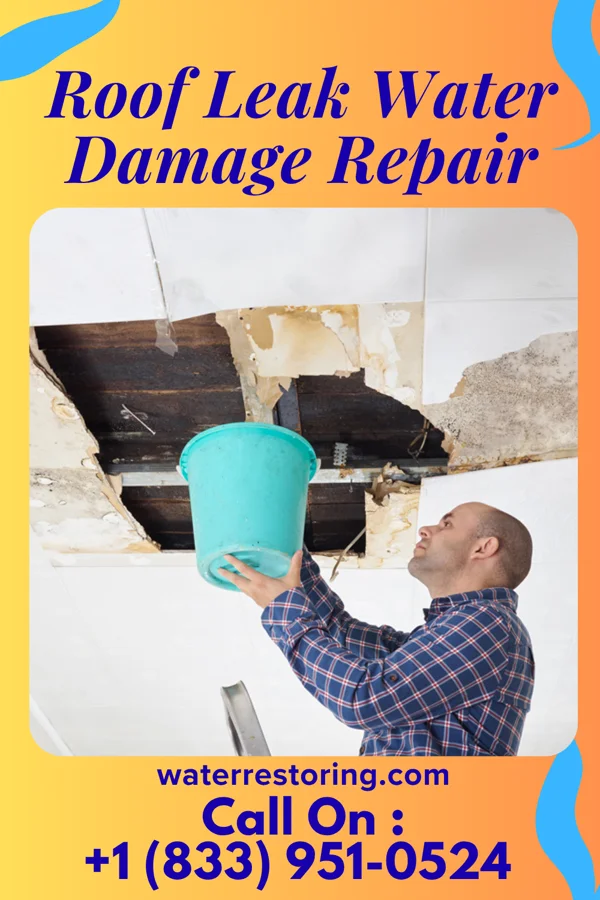 Roof Leak Water Damage Repair in Pittsville, MD
